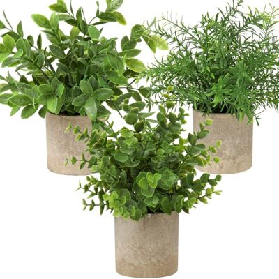 MOXIE Sjlerst 3pcs Plantes Artificielles En Pot D'Eucalyptus, Pour Décoration De La Maison, Du Bureau - Publicité MOXIE Sjlerst 3pcs Plantes Artificielles En Pot D'Eucalyptus, Pour Décoration De La Maison, Du Bureau - Publicité