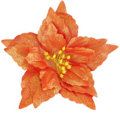PELTOR Jeffergarden Grande Fleur De Noël Pointue Multicolore, Ornement De Noël, Accessoires De Noël, Décorations Pour Sapin De Noël - Bronze Antique, 18 Cm De Diamètre - Publicité PELTOR Jeffergarden Grande Fleur De Noël Pointue Multicolore, Ornement De Noël, Accessoires De Noël, Décorations Pour Sapin De Noël - Bronze Antique, 18 Cm De Diamètre - Publicité