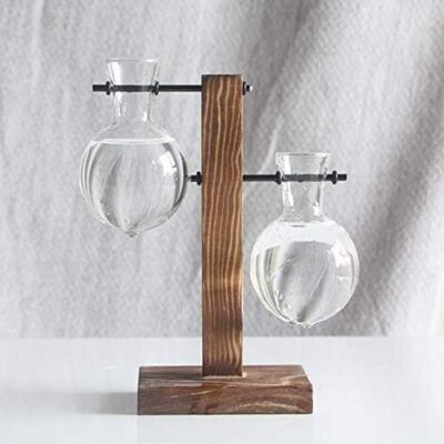 SCORPIO Cadre En Bois Créatif Vase Hydroponique Plante D'Ananas Vert Arrangement De Fleurs En Verre Transparent Récipient Ornement De Table Produits De Décoration Ménagère - Publicité SCORPIO Cadre En Bois Créatif Vase Hydroponique Plante D'Ananas Vert Arrangement De Fleurs En Verre Transparent Récipient Ornement De Table Produits De Décoration Ménagère - Publicité