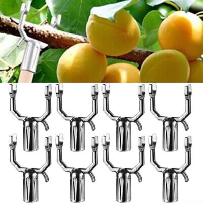 OEM Lot De 8 Supports De Branche D'Arbre Fruitier - Support De Branche De Plante - Support De Branche De Plante - Outils De Décoration - Supports Pour Piquets D'Arbre Fruité - Support De Branches D'Arbre - Publicité OEM Lot De 8 Supports De Branche D'Arbre Fruitier - Support De Branche De Plante - Support De Branche De Plante - Outils De Décoration - Supports Pour Piquets D'Arbre Fruité - Support De Branches D'Arbre - Publicité