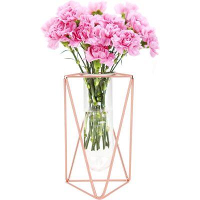 BRAST Ymyny Vase À Fleurs Avec Cadre En Métal,or Rose/or Cadre Métal Et Tube Essai En Verre Vases De Jardinière De Fleurs Vase Cylindrique Pour Décoration Intérieure De Mariage De Bureau Large Rose Gold - Publicité BRAST Ymyny Vase À Fleurs Avec Cadre En Métal,or Rose/or Cadre Métal Et Tube Essai En Verre Vases De Jardinière De Fleurs Vase Cylindrique Pour Décoration Intérieure De Mariage De Bureau Large Rose Gold - Publicité