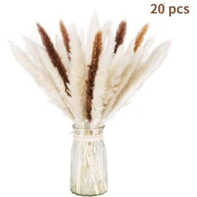 OEM Lot Séché Naturel D'Herbe De Pampa Sèche Pour La Décoration Intérieure 20 Pièces (blanc + Marron) Autres Objets Déco - Publicité OEM Lot Séché Naturel D'Herbe De Pampa Sèche Pour La Décoration Intérieure 20 Pièces (blanc + Marron) Autres Objets Déco - Publicité