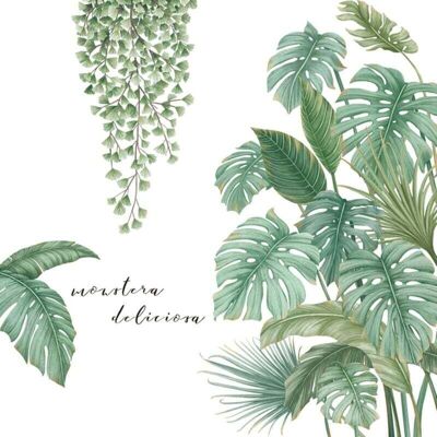 OEM Stickers Muraux Plante Tropical Autocollant, Autocollant Mural Plante Verte, Stickers Muraux Tropicaux Plante Feuille Palmier, Grand Sticker Mural Décoratif Pour Salon, Cuisine, Couloir-crezuo - Publicité OEM Stickers Muraux Plante Tropical Autocollant, Autocollant Mural Plante Verte, Stickers Muraux Tropicaux Plante Feuille Palmier, Grand Sticker Mural Décoratif Pour Salon, Cuisine, Couloir-crezuo - Publicité