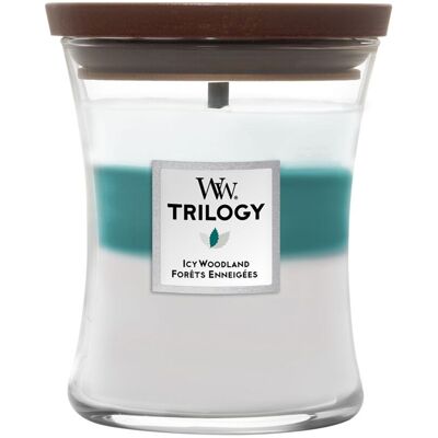 OEM Bougie Woodwick Icy Woodland 275 G - Publicité OEM Bougie Woodwick Icy Woodland 275 G - Publicité