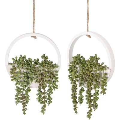 MOXIE 2 Pièces Succulentes Artificielles Plantes Suspendues 12.2'' Faux Collier De Perles En Pot Avec Cordon De 8,3'' Pour Intérieur Extérieur Mur Décor. Publicité MOXIE 2 Pièces Succulentes Artificielles Plantes Suspendues 12.2'' Faux Collier De Perles En Pot Avec Cordon De 8,3'' Pour Intérieur Extérieur Mur Décor. Publicité