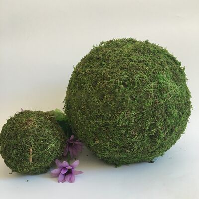 MCKENSA Lot De 6 Boules De Mousse Verte De 10 Cm Pour Décorer Un Vase, Un Bol Ou Un Sapin De Noël, Un Jardin, Un Mariage Ou Une Fête À La Maison. Publicité MCKENSA Lot De 6 Boules De Mousse Verte De 10 Cm Pour Décorer Un Vase, Un Bol Ou Un Sapin De Noël, Un Jardin, Un Mariage Ou Une Fête À La Maison. Publicité