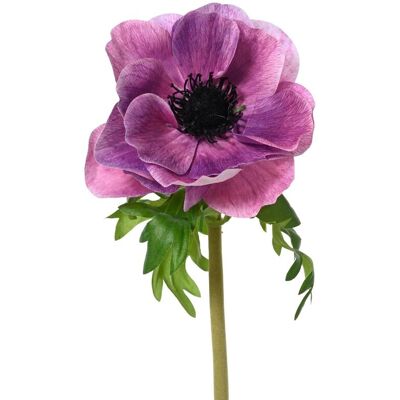 Decoris Anémone Artificielle Avec Tige - 13 X 50 Cm - Fleur Artificielle Avec Une Fleur - Fleurs Décoratives Pour Décoration Flo - Publicité Decoris Anémone Artificielle Avec Tige - 13 X 50 Cm - Fleur Artificielle Avec Une Fleur - Fleurs Décoratives Pour Décoration Flo - Publicité