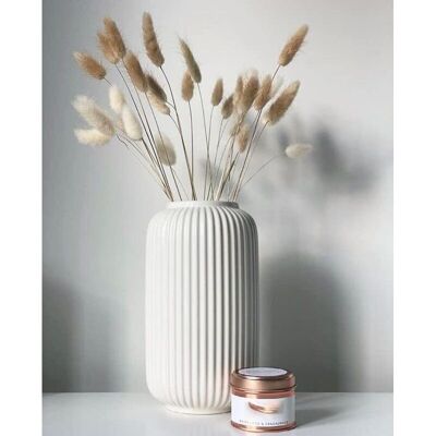 OEM Hauteur 20 Cm Vase Côtelé En Ceramique Blanc Pour Pampa, Vases Decoratif Pour Centre De Table Decoration - Publicité OEM Hauteur 20 Cm Vase Côtelé En Ceramique Blanc Pour Pampa, Vases Decoratif Pour Centre De Table Decoration - Publicité