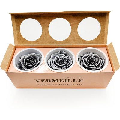 OEM Rose Stabilisée - Argent - Argent - Xl - 3 Pièces - Publicité OEM Rose Stabilisée - Argent - Argent - Xl - 3 Pièces - Publicité