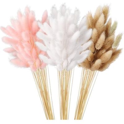 SANS MARQUE Décoration De L'Herbe De La Pampa Naturelle - 180 Pièces Fleurs Séchées, Queues De Lapin Pour Mariage, Salon, Chambre À Coucher - Publicité SANS MARQUE Décoration De L'Herbe De La Pampa Naturelle - 180 Pièces Fleurs Séchées, Queues De Lapin Pour Mariage, Salon, Chambre À Coucher - Publicité