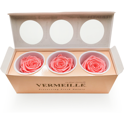 OEM Rose Stabilisée - Nectar Rose - Xl - 3 Pièces - Publicité OEM Rose Stabilisée - Nectar Rose - Xl - 3 Pièces - Publicité