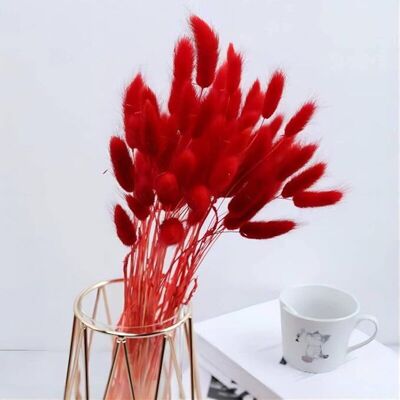 ENLENK 40 Herbes De La Pampa Séchées - Pas D'Odeur - Fleurs Séchées - Ne Se Fanent Jamais - Décoration Florale Naturelle - Décoration Bohème - Particulièrement Moelleuse (rouge À L'Ancienne) - Publicité ENLENK 40 Herbes De La Pampa Séchées - Pas D'Odeur - Fleurs Séchées - Ne Se Fanent Jamais - Décoration Florale Naturelle - Décoration Bohème - Particulièrement Moelleuse (rouge À L'Ancienne) - Publicité