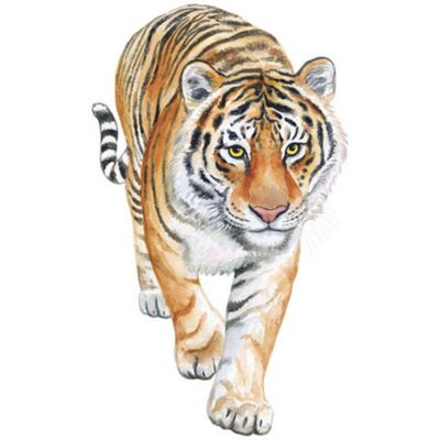 BRAST Un Lot De Stickers Muraux Tigre- Decoration Murale Pour Salon Chambre Bureau Cusine - Autocollant Mural - Publicité BRAST Un Lot De Stickers Muraux Tigre- Decoration Murale Pour Salon Chambre Bureau Cusine - Autocollant Mural - Publicité
