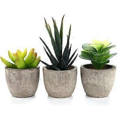 BLYNO Plantes Succulentes Artificielles Eco-chic, Décoration Intérieure : Plantes Artificielles Attrayantes En Pots De Céramique, Plantes Succulentes Décoratives Nécessitant Peu D’entretien Pour La Décorati - Publicité BLYNO Plantes Succulentes Artificielles Eco-chic, Décoration Intérieure : Plantes Artificielles Attrayantes En Pots De Céramique, Plantes Succulentes Décoratives Nécessitant Peu D’entretien Pour La Décorati - Publicité