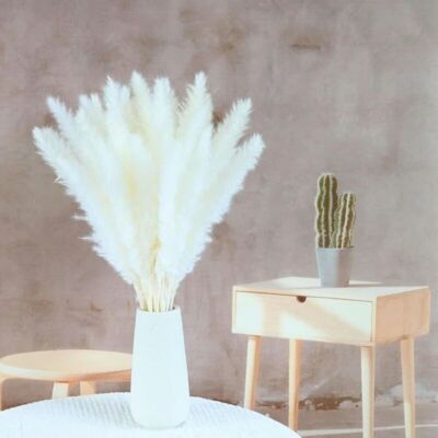 OEM Lot De 15 Grandes Jonquilles Artificielles En Herbe De Pampa Pour Décoration De Vase Bohème Pour Maison, Cuisine, Mariage, Bureau-crezuo - Publicité OEM Lot De 15 Grandes Jonquilles Artificielles En Herbe De Pampa Pour Décoration De Vase Bohème Pour Maison, Cuisine, Mariage, Bureau-crezuo - Publicité