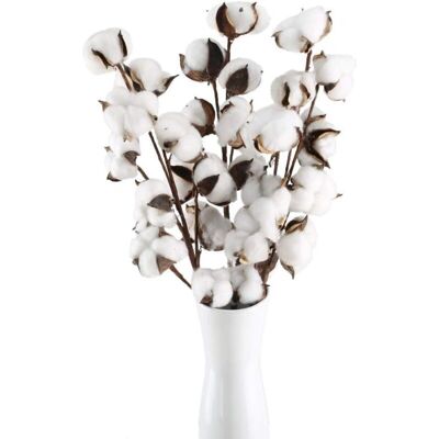 OEM 3 Branche Fleur De Coton Naturelle 10 Têtes Ave Tiges Artificielles Fleurs De Coton Séchées Fausse Plante Naturel Décoration - Publicité OEM 3 Branche Fleur De Coton Naturelle 10 Têtes Ave Tiges Artificielles Fleurs De Coton Séchées Fausse Plante Naturel Décoration - Publicité