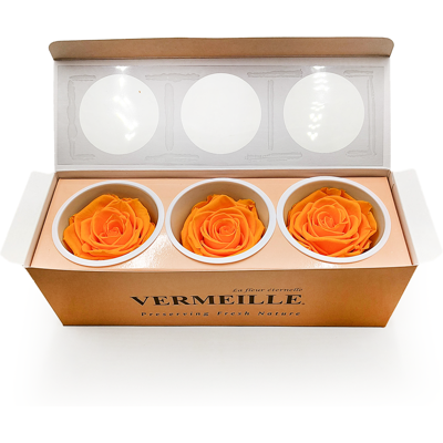 OEM Rose Stabilisée - Jaune Safran - Xl - 3 Pièces - Publicité OEM Rose Stabilisée - Jaune Safran - Xl - 3 Pièces - Publicité
