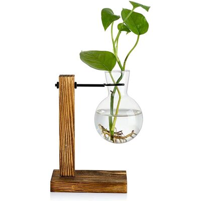 PELTOR Jeffergarden Vase Transparent De Bureau, Support En Bois, Verre Transparent, Plante Pour La Maison, Table, Bureau, Décoration Intérieure - Publicité PELTOR Jeffergarden Vase Transparent De Bureau, Support En Bois, Verre Transparent, Plante Pour La Maison, Table, Bureau, Décoration Intérieure - Publicité