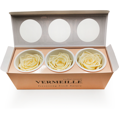 OEM Rose Stabilisée - Jaune Pastel - Xl - 3 Pièces - Publicité OEM Rose Stabilisée - Jaune Pastel - Xl - 3 Pièces - Publicité