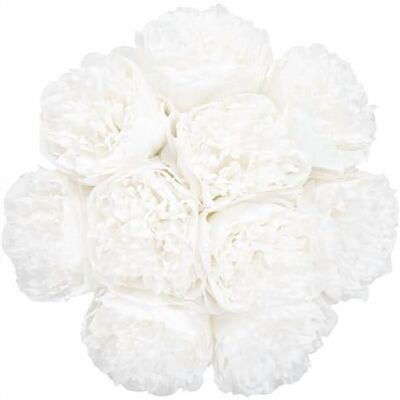 OEM 20 Pivoines Artificielles En Soie Avec Tiges, Design Pivoine Vintage Réaliste, Adaptées À La Décoration Intérieure Et Aux Mariages (blanc Pur). Publicité OEM 20 Pivoines Artificielles En Soie Avec Tiges, Design Pivoine Vintage Réaliste, Adaptées À La Décoration Intérieure Et Aux Mariages (blanc Pur). Publicité