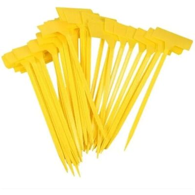 Scotch Lot De 50 Potager Plantes Étiquettes Pour Plantes En Plastique, Etiquette Jardin 30 Cm, Contenants Et Accessoires Pour Plantes Pour La Maison, Le Jardin, Le Parc - Publicité Scotch Lot De 50 Potager Plantes Étiquettes Pour Plantes En Plastique, Etiquette Jardin 30 Cm, Contenants Et Accessoires Pour Plantes Pour La Maison, Le Jardin, Le Parc - Publicité