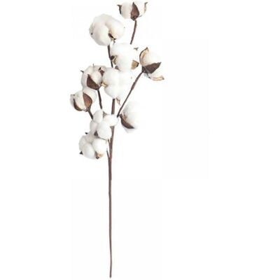 OEM Branches De Coton Blanc Naturel De 53 Cm, Garniture Pour Vase Style Champêtre, Centre De Table De Mariage - Publicité OEM Branches De Coton Blanc Naturel De 53 Cm, Garniture Pour Vase Style Champêtre, Centre De Table De Mariage - Publicité