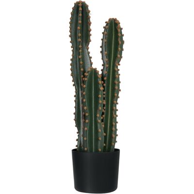 Generic Cactus Artificiel Grand Réalisme Plante Artificielle Grande Taille Dim. Ø 17 X 60h Cm Vert - Publicité Generic Cactus Artificiel Grand Réalisme Plante Artificielle Grande Taille Dim. Ø 17 X 60h Cm Vert - Publicité