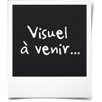 OEM Objet Décoratif - Dilwe - Pyramide En Améthyste - Couleur Violette - Symbolise La Chance - Design Contemporain - Publicité OEM Objet Décoratif - Dilwe - Pyramide En Améthyste - Couleur Violette - Symbolise La Chance - Design Contemporain - Publicité