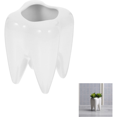 Generic Pot De Fleurs Céramique Forme Dent Conteneur Décoratif Pour Plantes Organisateur De Bureau Unique Pour Décoration Maison Et Bureau Blanc - Publicité Generic Pot De Fleurs Céramique Forme Dent Conteneur Décoratif Pour Plantes Organisateur De Bureau Unique Pour Décoration Maison Et Bureau Blanc - Publicité
