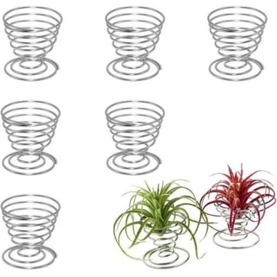 Vision 6 Pièces Supports Pour Plantes Aériennes Air Support De Plante Mini Supports Géométriques En Métal Vase À Plantes À Air Rack Tillandsia Planteur Présentoirs Base Argent - Publicité Vision 6 Pièces Supports Pour Plantes Aériennes Air Support De Plante Mini Supports Géométriques En Métal Vase À Plantes À Air Rack Tillandsia Planteur Présentoirs Base Argent - Publicité