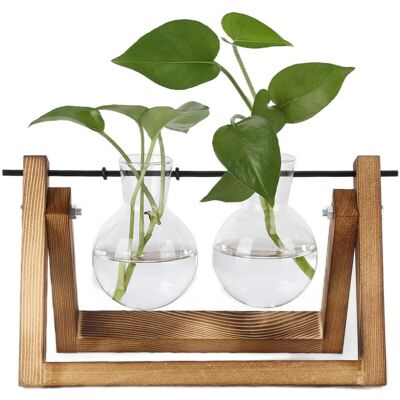 PELTOR Jeffergarden Terrarium De Plantes Avec Support En Bois, Vase En Verre, Jardinière De Bureau Pour La Décoration De La Maison Et Du Bureau (cadre En Bois, 2 Bouteilles) - Publicité PELTOR Jeffergarden Terrarium De Plantes Avec Support En Bois, Vase En Verre, Jardinière De Bureau Pour La Décoration De La Maison Et Du Bureau (cadre En Bois, 2 Bouteilles) - Publicité