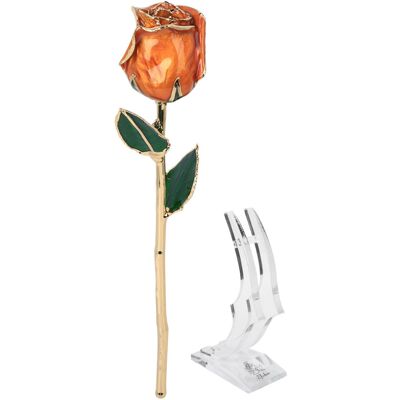 OEM Roses Préservées Plaquées Or 24 Carats, Véritables Roses, Luxueuses Et Élégantes, Faites À La Main, Pour Un Amour Sincère Et Éternel. Coffret Cadeau Raffiné Avec Socle. Publicité OEM Roses Préservées Plaquées Or 24 Carats, Véritables Roses, Luxueuses Et Élégantes, Faites À La Main, Pour Un Amour Sincère Et Éternel. Coffret Cadeau Raffiné Avec Socle. Publicité