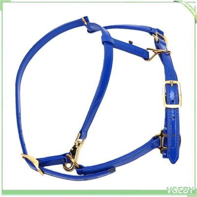 OEM Licol Cheval - Fafeicy - Lt4009 - Cuir Émaillé 20 Mm - Boucles Alliage Doré - Imperméable, Anti-odeurs - Publicité OEM Licol Cheval - Fafeicy - Lt4009 - Cuir Émaillé 20 Mm - Boucles Alliage Doré - Imperméable, Anti-odeurs - Publicité