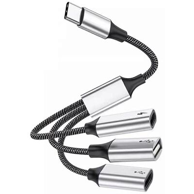 FLAMMKRAFT Hub Usb-c Ultra-rapide De 25 Cm Avec Ports Usb-c Et Usb 2.0 Et Alimentation 60 W - 2 Ports Usb-c Et 1 Port Usb-c - Publicité FLAMMKRAFT Hub Usb-c Ultra-rapide De 25 Cm Avec Ports Usb-c Et Usb 2.0 Et Alimentation 60 W - 2 Ports Usb-c Et 1 Port Usb-c - Publicité