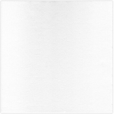 OEM Serviette En Papier Molletonné - Thouy - 40 X 40 Cm (paquet 50) - Double Épaisseur 17 G/m² - Blanc - Gaufrage Double Point - Publicité OEM Serviette En Papier Molletonné - Thouy - 40 X 40 Cm (paquet 50) - Double Épaisseur 17 G/m² - Blanc - Gaufrage Double Point - Publicité