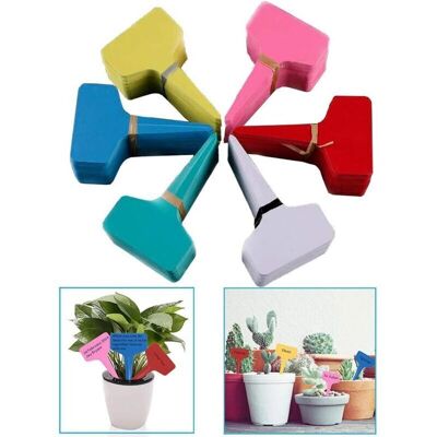 OEM Plant Markers & Labels Etiquettes De Fromage Pancarte Jardin Etiquette Potager Étiquettes De Semis Petit Outil Accessoires De Jardinage Mini Étiquetage Signes De Plantation 6 Cm X 10 Cm (120pcs 6 Col- - Publicité OEM Plant Markers & Labels Etiquettes De Fromage Pancarte Jardin Etiquette Potager Étiquettes De Semis Petit Outil Accessoires De Jardinage Mini Étiquetage Signes De Plantation 6 Cm X 10 Cm (120pcs 6 Col- - Publicité