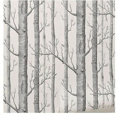 OEM Bouleau Arbre Papier Peint Décor Moderne Papier Peint Rouleau Forêt Bois Papiers Peints Pour Chambre - Publicité OEM Bouleau Arbre Papier Peint Décor Moderne Papier Peint Rouleau Forêt Bois Papiers Peints Pour Chambre - Publicité