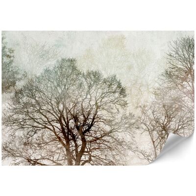 OEM Papier Peint Intissé Standard - 100 X 70 Cm - Style Classique - Nature Papier Peint Intissé Standard - 500 X 350 Cm - Style Classique - Nature - Publicité OEM Papier Peint Intissé Standard - 100 X 70 Cm - Style Classique - Nature Papier Peint Intissé Standard - 500 X 350 Cm - Style Classique - Nature - Publicité