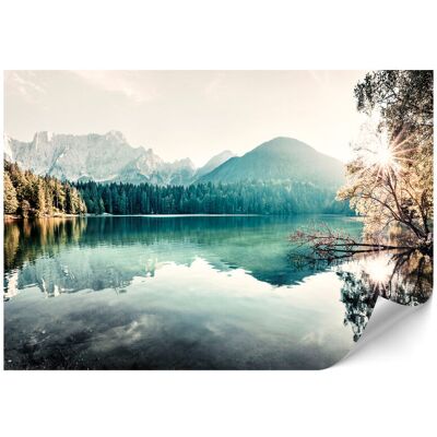 OEM Papier Peint Intissé Standard - 100 X 70 Cm - Style Classique - Nature Papier Peint Intissé Standard - 500 X 350 Cm - Style Classique - Nature - Publicité OEM Papier Peint Intissé Standard - 100 X 70 Cm - Style Classique - Nature Papier Peint Intissé Standard - 500 X 350 Cm - Style Classique - Nature - Publicité