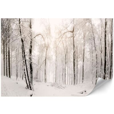 OEM Papier Peint Intissé Standard - 100 X 70 Cm - Style Classique - Nature Papier Peint Intissé Standard - 500 X 350 Cm - Style Classique - Nature - Publicité OEM Papier Peint Intissé Standard - 100 X 70 Cm - Style Classique - Nature Papier Peint Intissé Standard - 500 X 350 Cm - Style Classique - Nature - Publicité