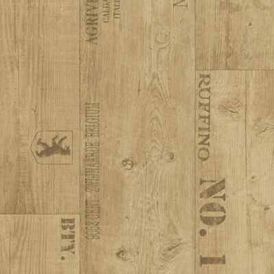 DÉCOWEB Sol Vinyle First Effet Parquet Marqué Chêne - 2m X 10m - Publicité DÉCOWEB Sol Vinyle First Effet Parquet Marqué Chêne - 2m X 10m - Publicité