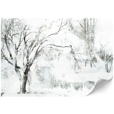 OEM Papier Peint Intissé Standard - 100 X 70 Cm - Style Classique - Nature Papier Peint Intissé Premium - 500 X 350 Cm - Style Classique - Nature - Publicité OEM Papier Peint Intissé Standard - 100 X 70 Cm - Style Classique - Nature Papier Peint Intissé Premium - 500 X 350 Cm - Style Classique - Nature - Publicité