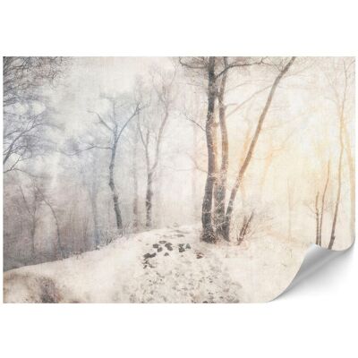 OEM Papier Peint Intissé Standard - 100 X 70 Cm - Style Classique - Nature Papier Peint Intissé Standard - 500 X 350 Cm - Style Classique - Nature - Publicité OEM Papier Peint Intissé Standard - 100 X 70 Cm - Style Classique - Nature Papier Peint Intissé Standard - 500 X 350 Cm - Style Classique - Nature - Publicité