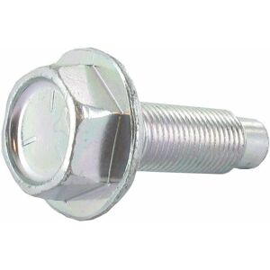 Boulon de vilebrequin BRIGGS ET STRATTON 698139 - Publicité Boulon de vilebrequin BRIGGS ET STRATTON 698139 - Publicité