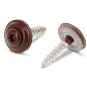 VIS EXPRESS Vis Faitage Tête Fraisée Bombée Tfb Torx T20 Inox A2 Ral8011 4,5x45 Rondelle D"étanchéite Epdm-30 Pièces - Publicité VIS EXPRESS Vis Faitage Tête Fraisée Bombée Tfb Torx T20 Inox A2 Ral8011 4,5x45 Rondelle D"étanchéite Epdm-30 Pièces - Publicité