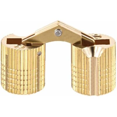OEM 2pcs Charnière Cylindrique Charnière Invisible Porte Placard Armoire 12mm Angle Ouvrir 180° - Publicité OEM 2pcs Charnière Cylindrique Charnière Invisible Porte Placard Armoire 12mm Angle Ouvrir 180° - Publicité