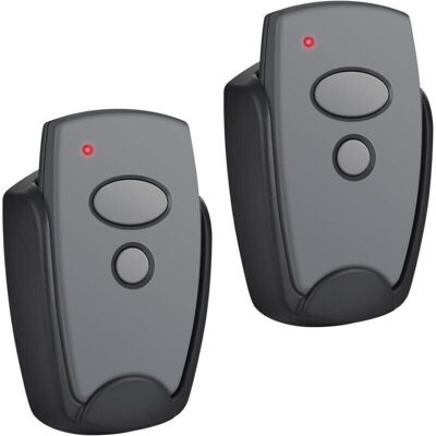 OEM Lot De 2 Émetteurs Portatifs 868,3 Mhz Pour 302 384 304 313 321 323 131 - Télécommande De Rechange Pour - 2 Canaux - Publicité OEM Lot De 2 Émetteurs Portatifs 868,3 Mhz Pour 302 384 304 313 321 323 131 - Télécommande De Rechange Pour - 2 Canaux - Publicité