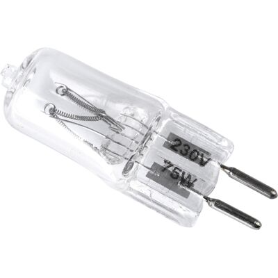 OEM Ampoule De Lampe Pilote Godox 75 W 230 V 2700 K Pour Flash De Studio Compact (220 V 240 V) - Publicité OEM Ampoule De Lampe Pilote Godox 75 W 230 V 2700 K Pour Flash De Studio Compact (220 V 240 V) - Publicité