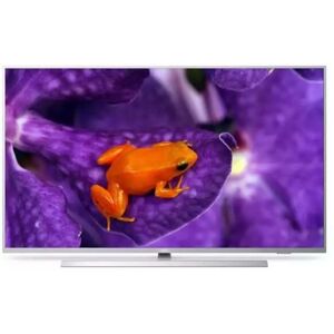 Philips - 43HFL6114U MediaSuite 108 cm (43 Zoll)(4K-UHD, Android tv,