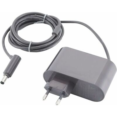 Andiamo Chargeur Pour Aspirateur Dyson V6 V7 V8 Dc58 Dc59 Dc61 Dc62 Sv03 Sv04 Sv05 Sv06 Sv07 – Entrée 100-240v – Sortie 26.1v 780ma – Câble 6ft - Publicité Andiamo Chargeur Pour Aspirateur Dyson V6 V7 V8 Dc58 Dc59 Dc61 Dc62 Sv03 Sv04 Sv05 Sv06 Sv07 – Entrée 100-240v – Sortie 26.1v 780ma – Câble 6ft - Publicité
